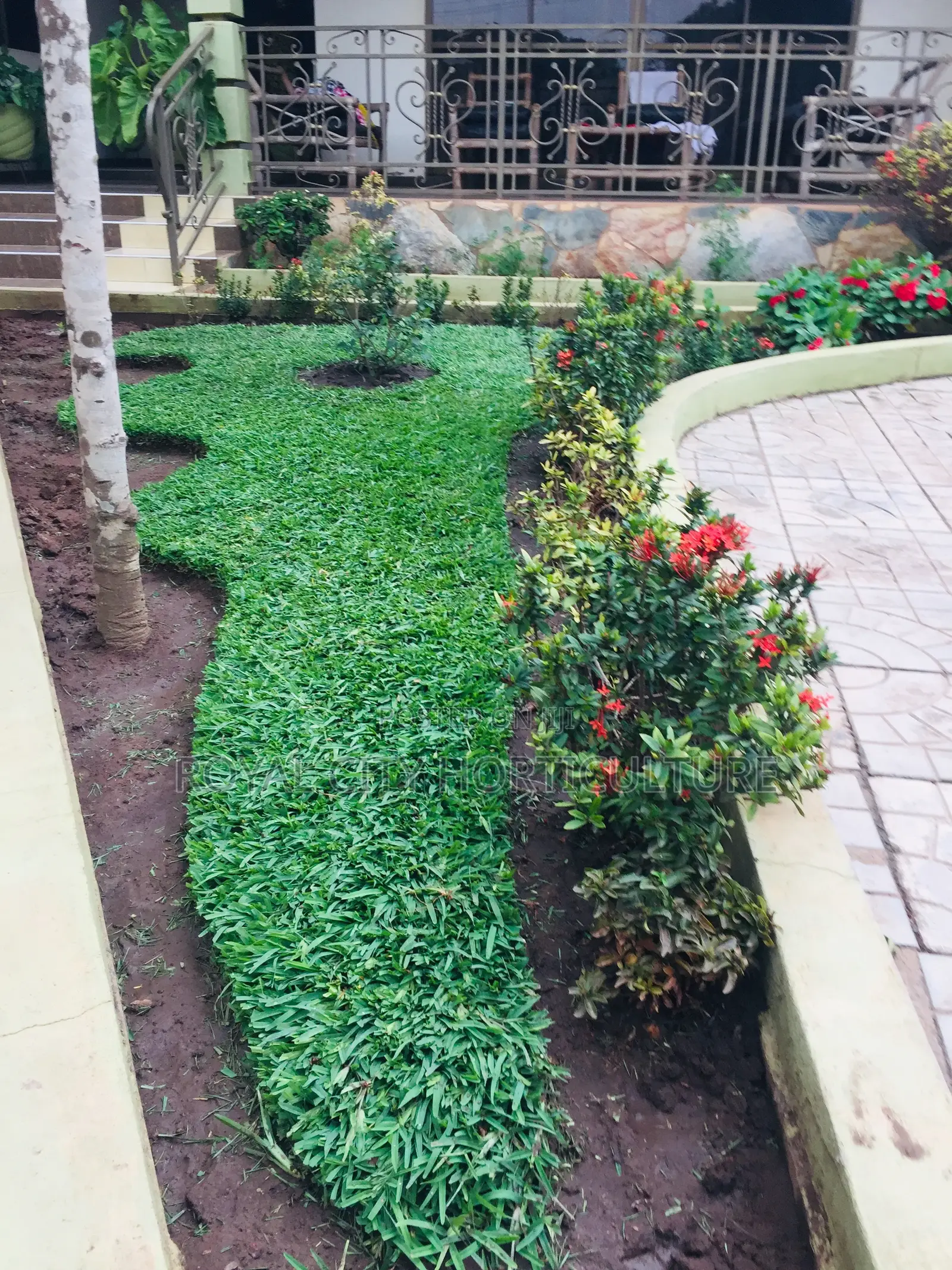Royal City Horticulture Is Here to Serve You Best Gardenwork