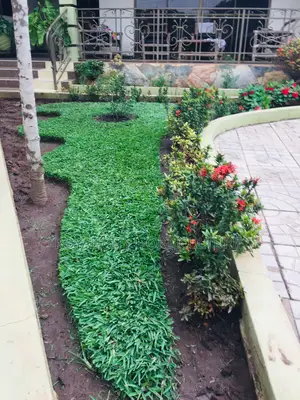Royal City Horticulture Is Here to Serve You Best Gardenwork