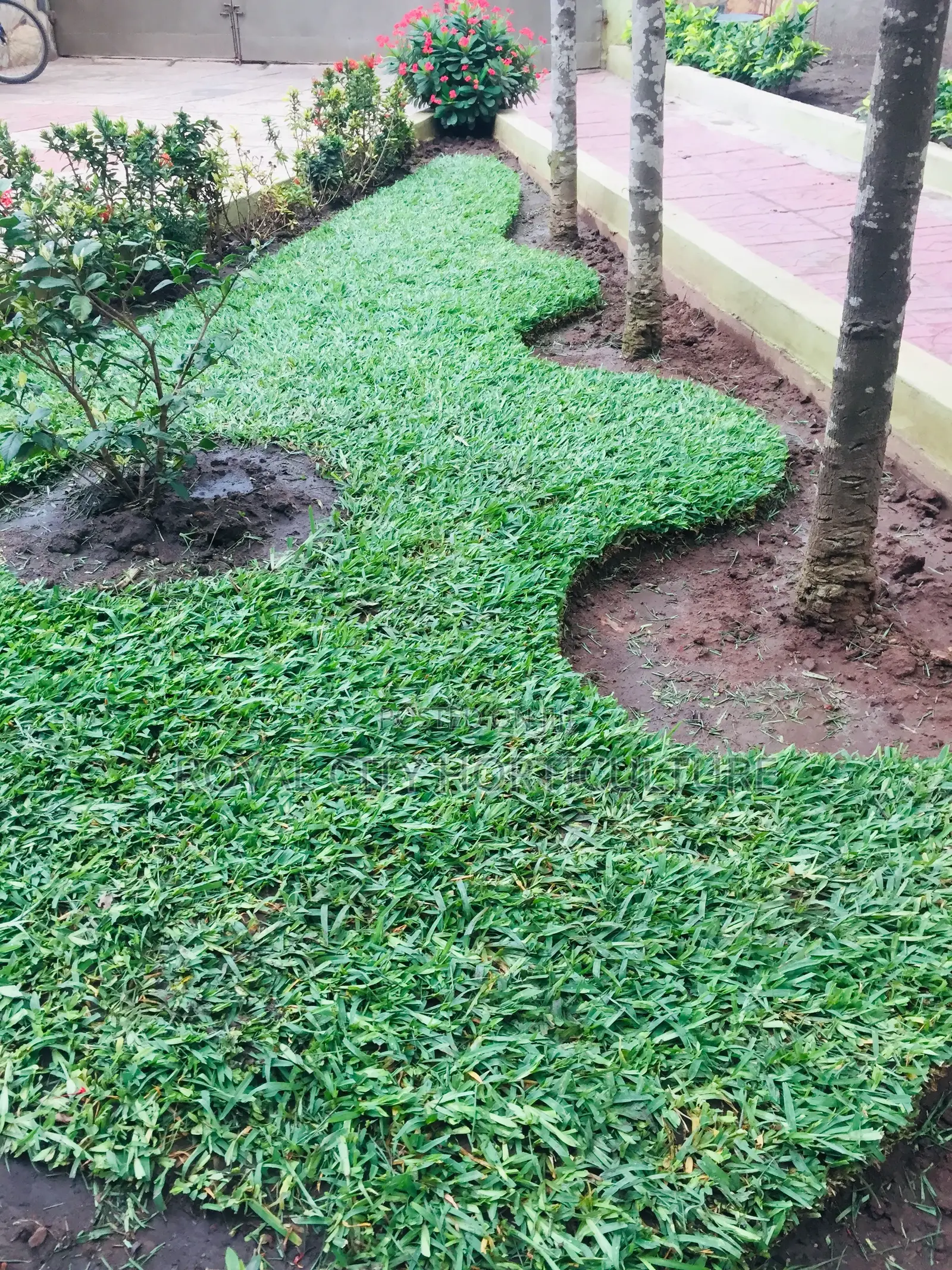 Royal City Horticulture Is Here to Serve You Best Gardenwork
