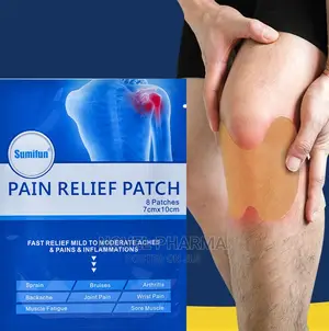 Pain Relief Patch - (8pcs/Bag)