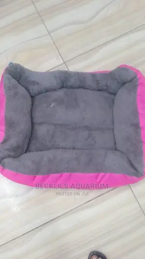 Bed for Dogs