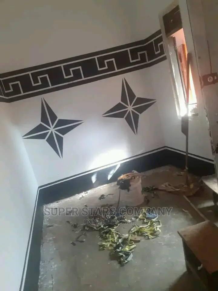 Professional Painter