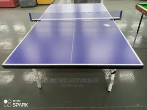 Table Tennis Court for Sale