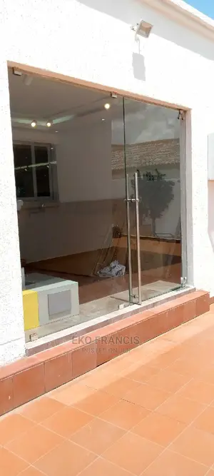 Framless Glass Door