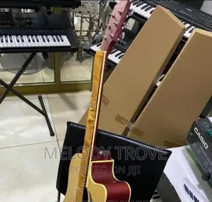 Fender Semi-acoustic Guitar