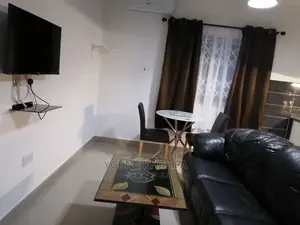 Furnished One Bedrooms Apartment Spintex Community 18