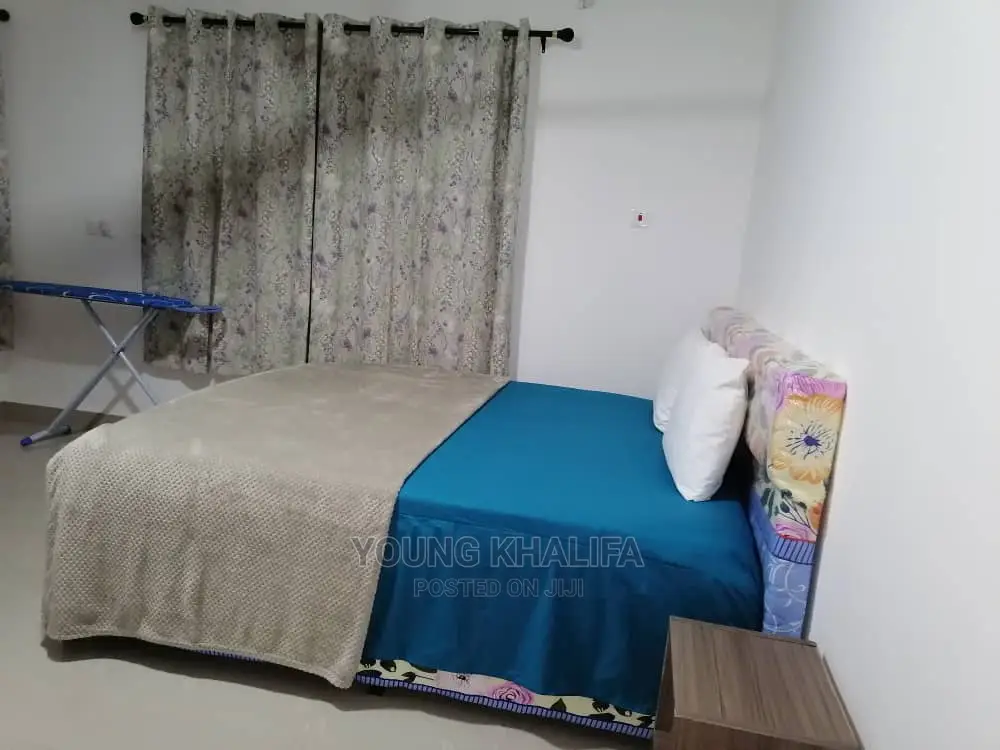 Furnished One Bedrooms Apartment Spintex Community 18