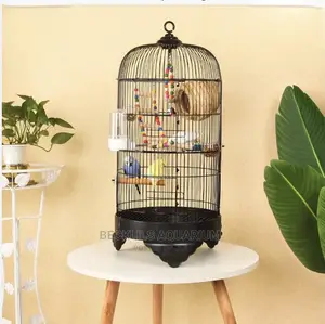 Metallic Parrot Birdcage