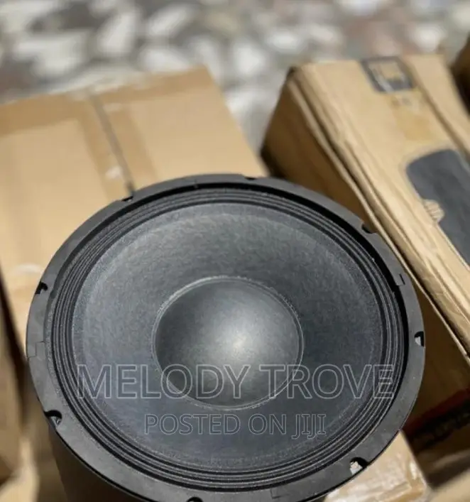 Jld 12" Naked Speaker