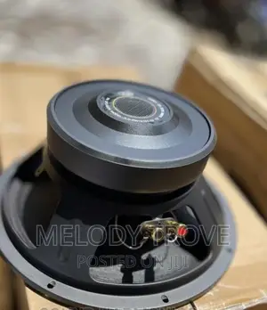 Jld 12" Naked Speaker