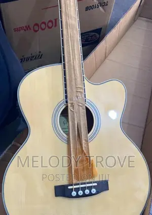 Givson Bass Guitar