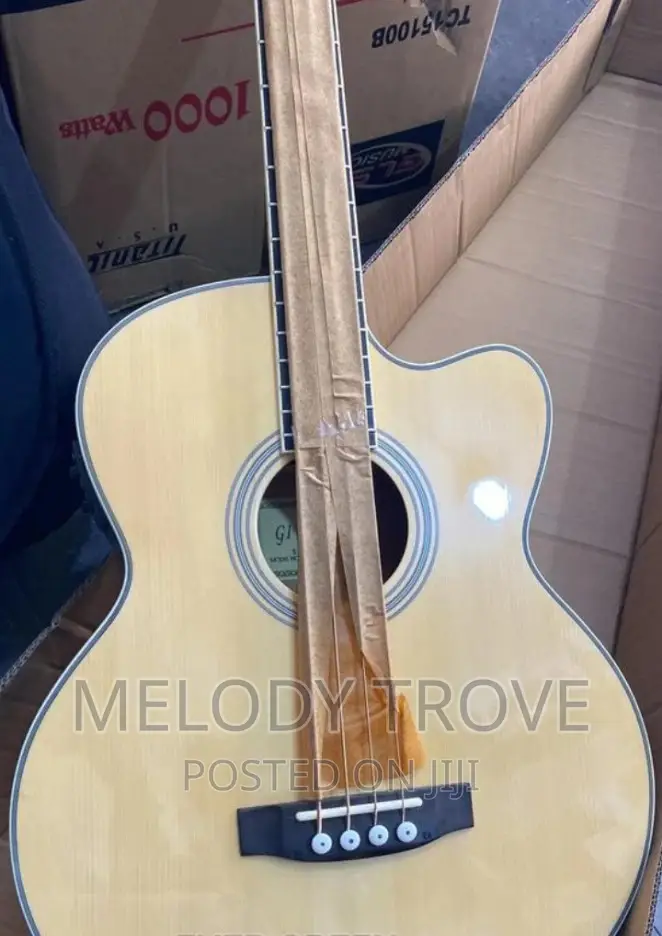 Givson Bass Guitar