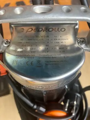 Pedrollo Sewage Pump