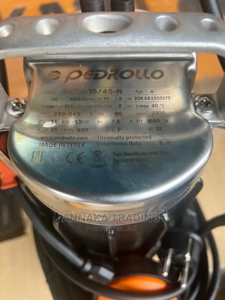 Pedrollo Sewage Pump