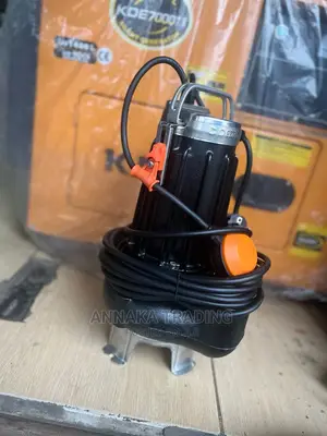 Pedrollo Sewage Pump
