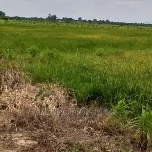 6 Plots of Land at Oyibi