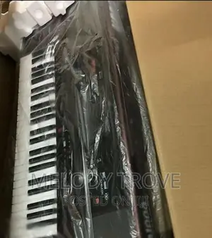 Korg Pa1000 61-Key Professional Arranger Keyboard