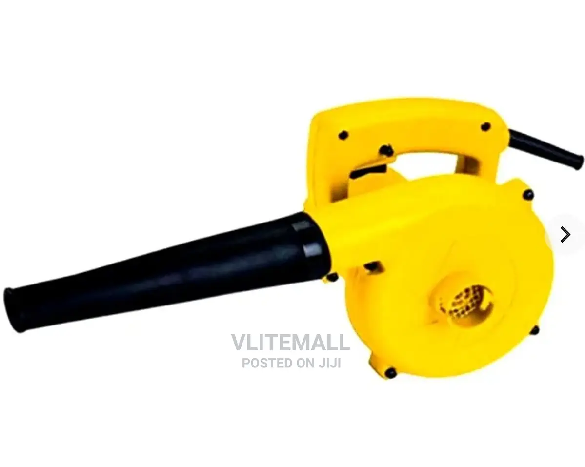Electric Blower 800W Upspirit