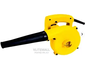 Electric Blower 800W Upspirit