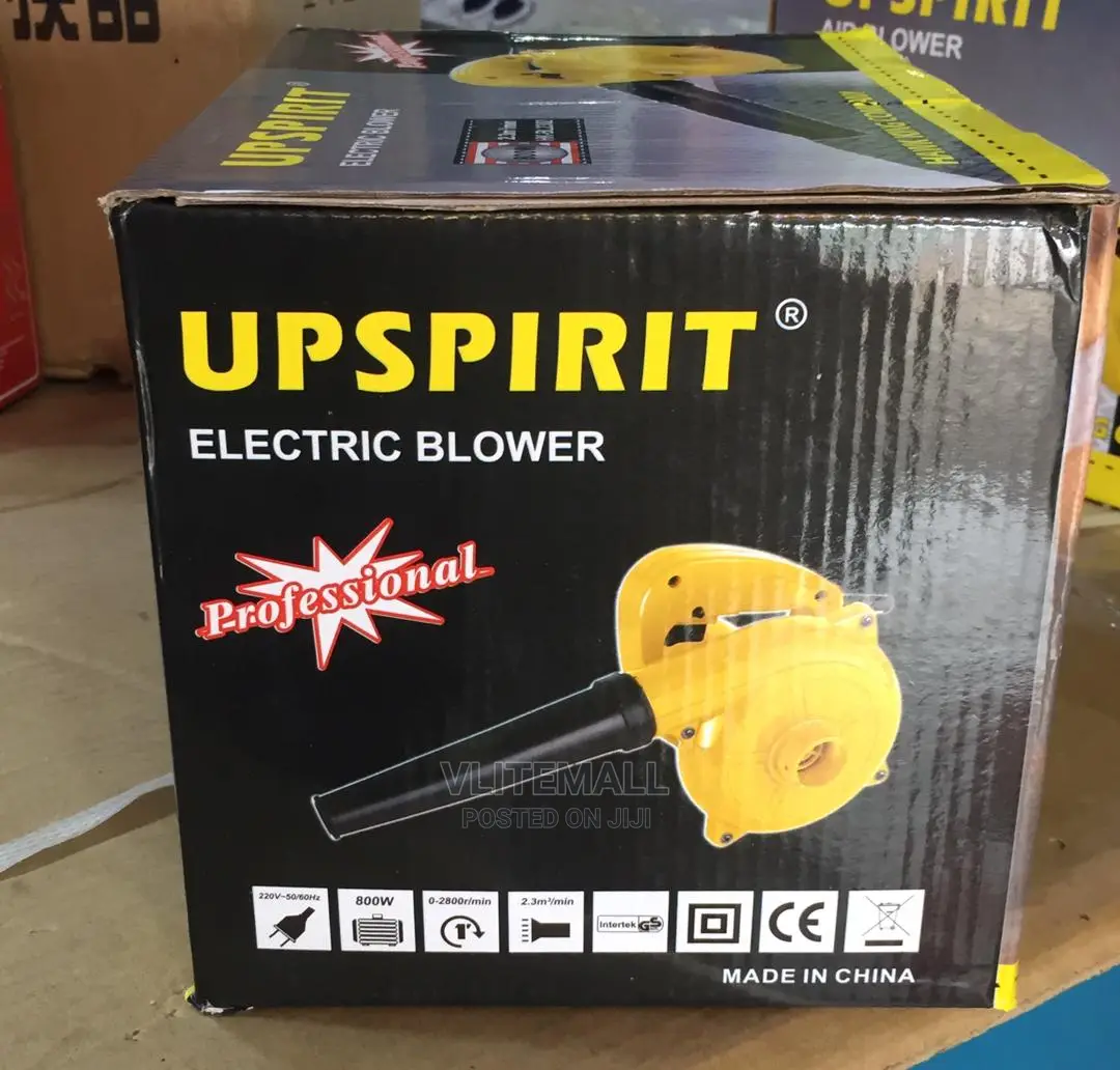 Electric Blower 800W Upspirit