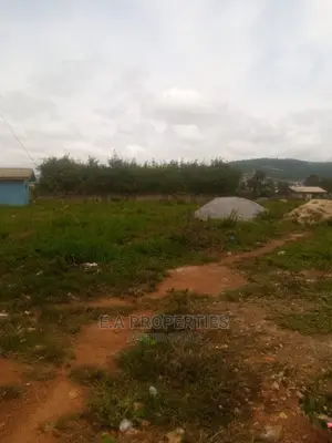 Oyibi Opposite Velly View University