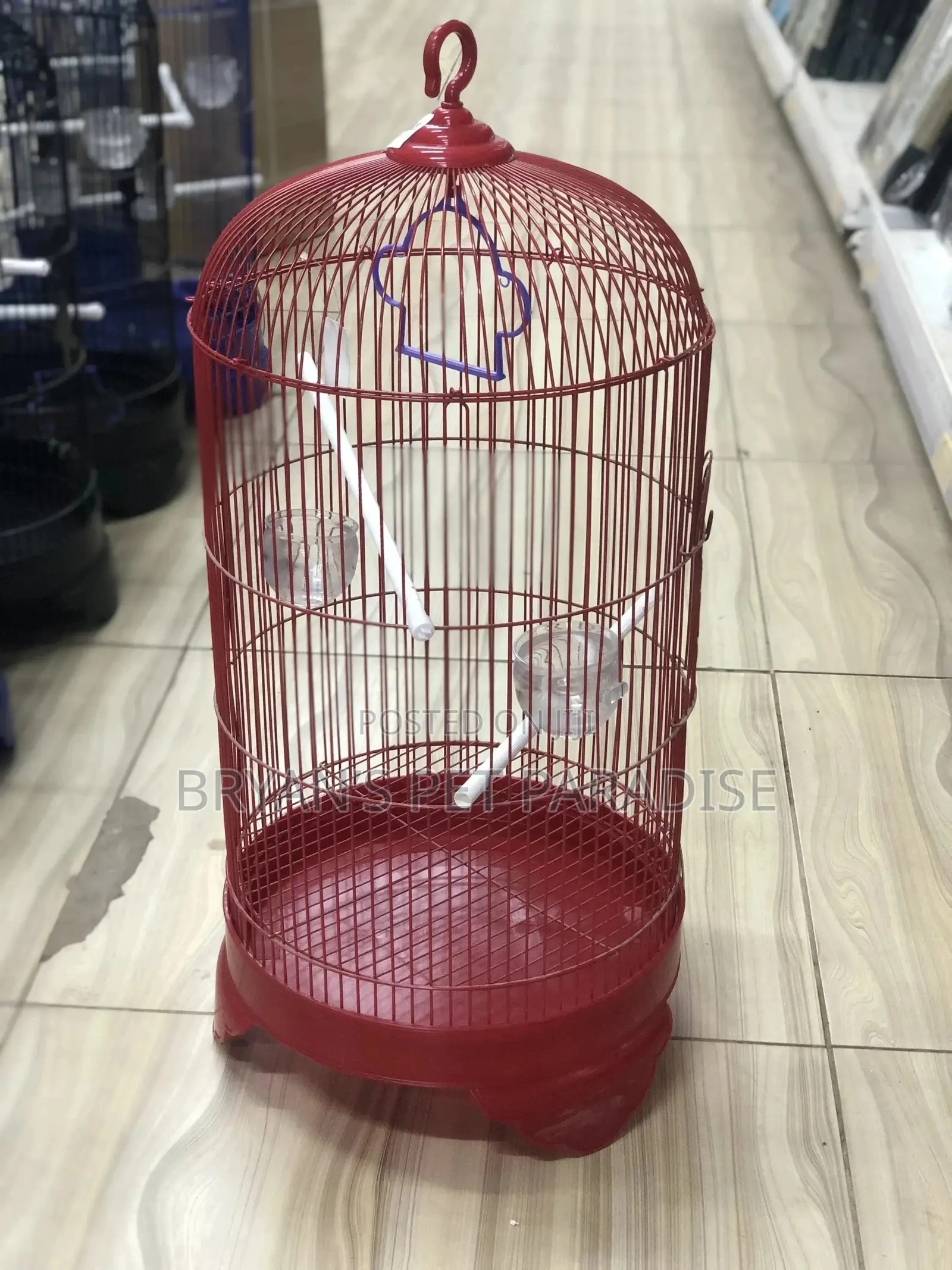 American Parrot Cages