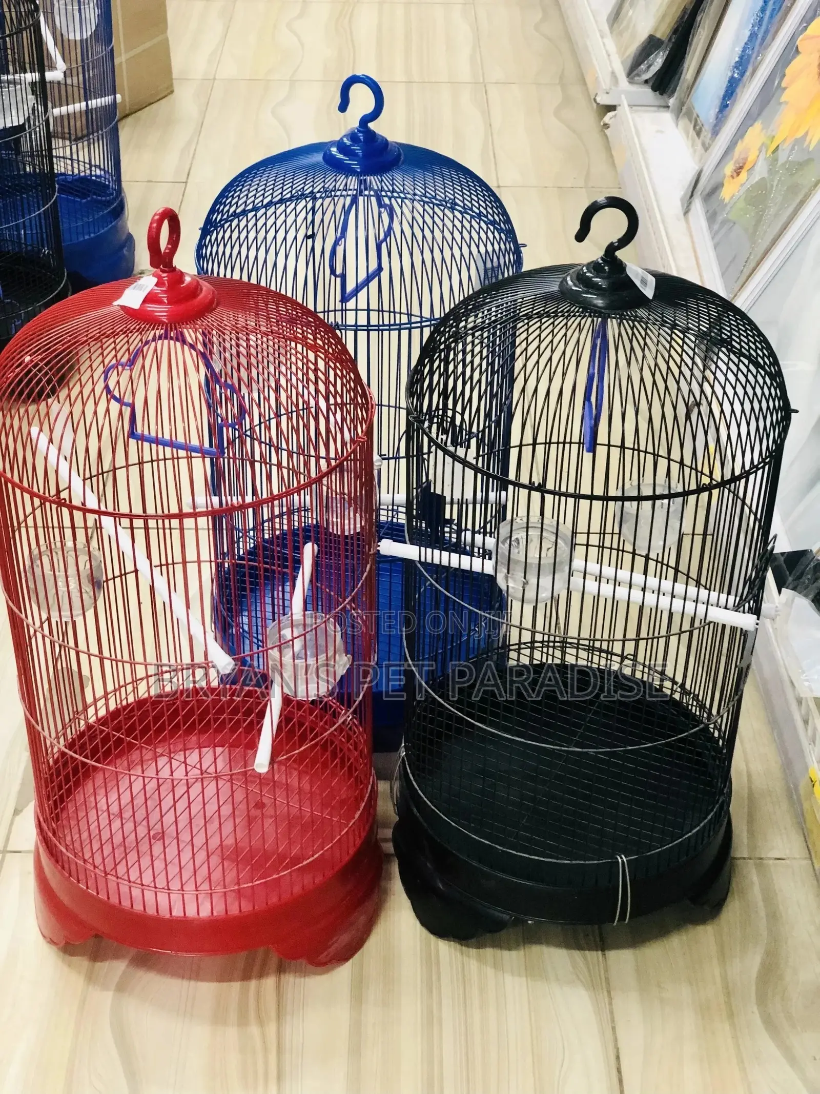 American Parrot Cages