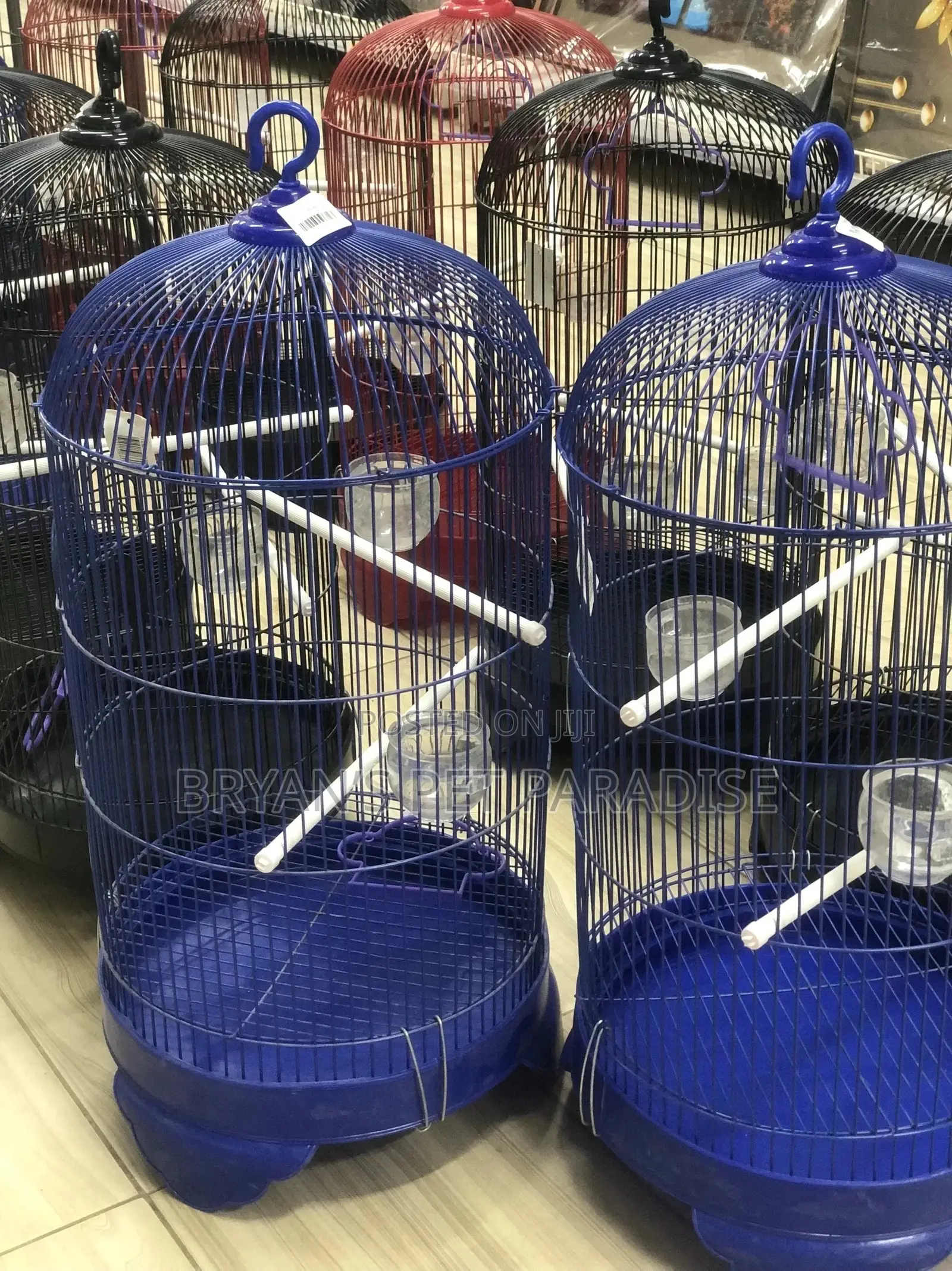 American Parrot Cages