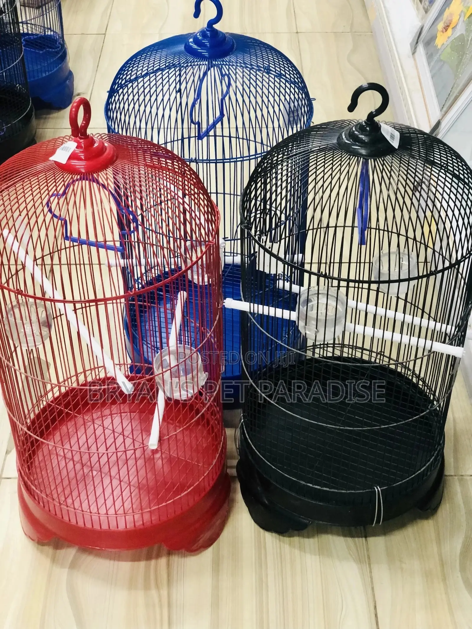 American Parrot Cages