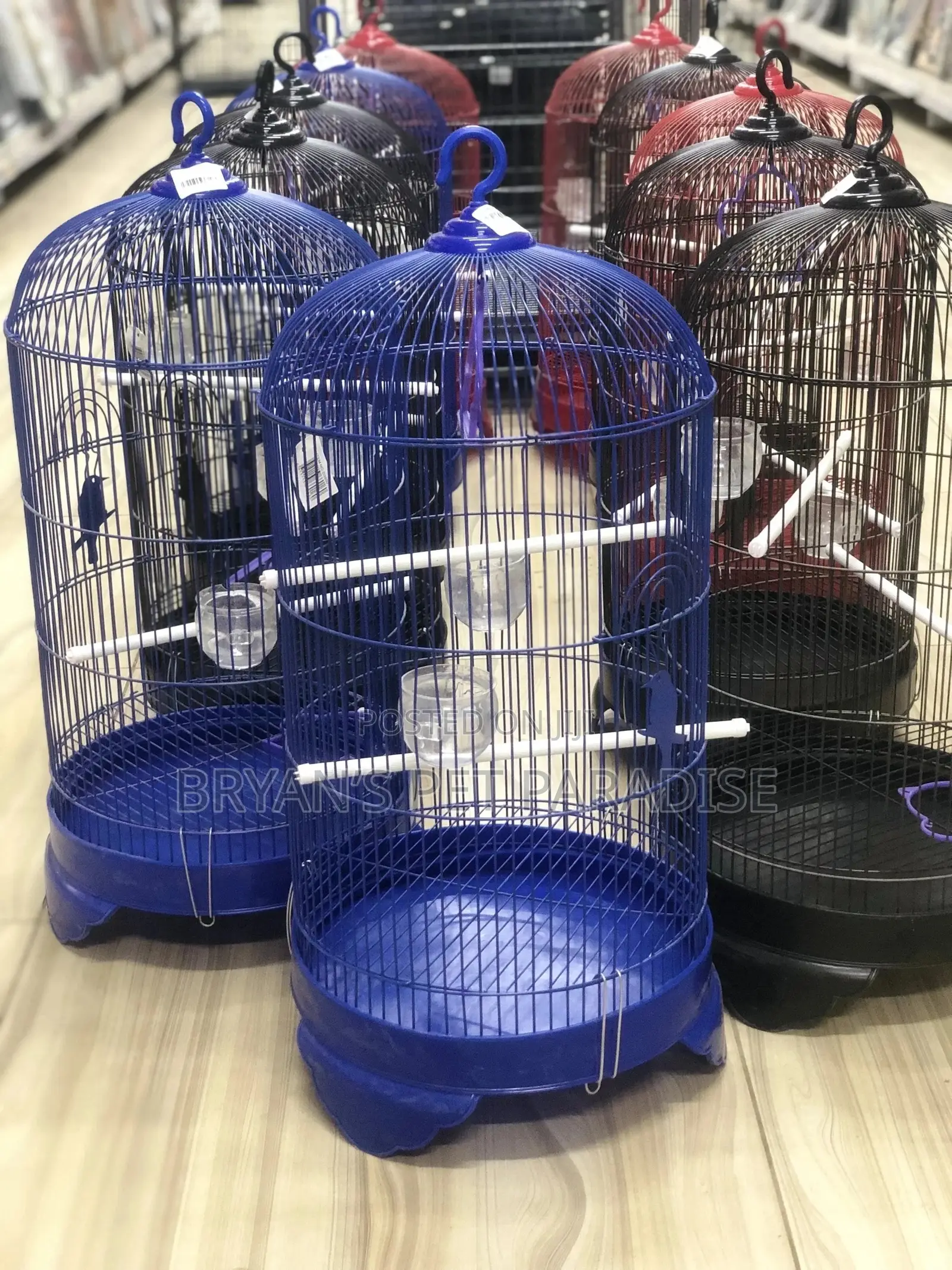 American Parrot Cages