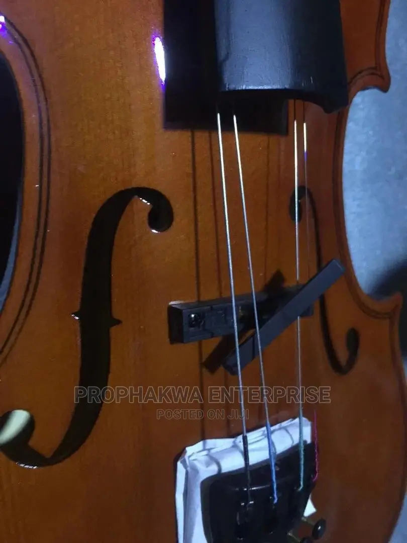Semi Acoustic Violin