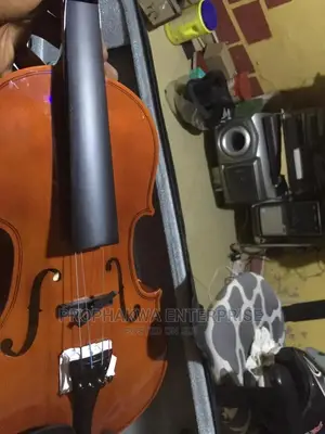 Semi Acoustic Violin