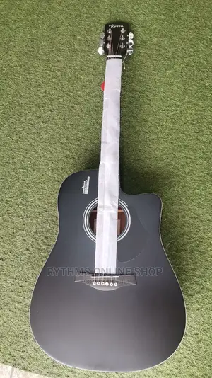 Acoustic Guitar(Rosen)