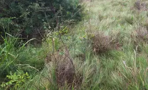 2 Acres of Land at East Legon Hills(Kelly Estate)