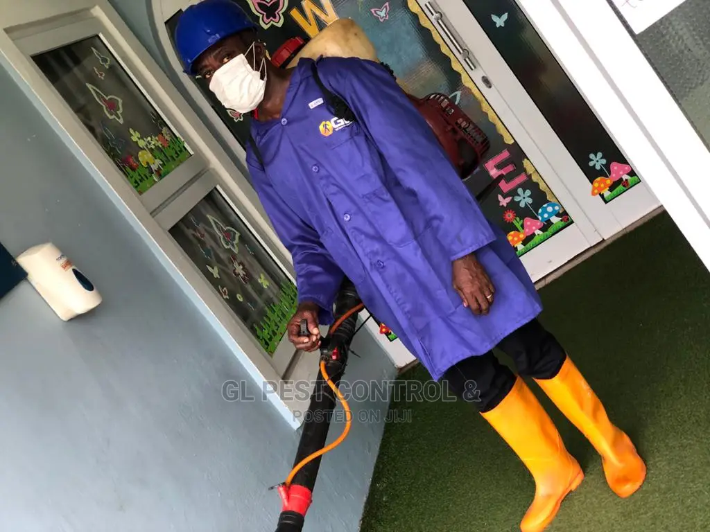 Most Effective Bedbug Fumigation
