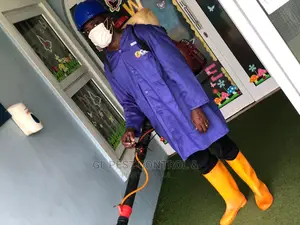 Most Effective Bedbug Fumigation