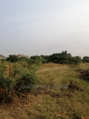 2 and Half Acres of Land at Community 25(Savannah Junction)