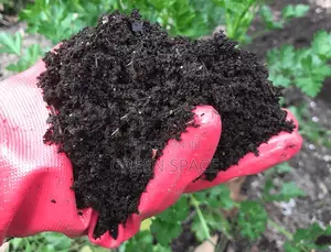 Organic Compost