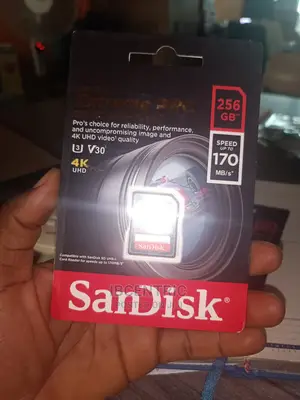 256GB Camera SD Card
