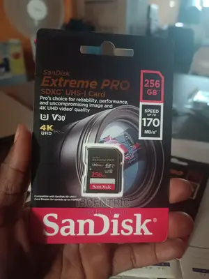 256GB Camera SD Card
