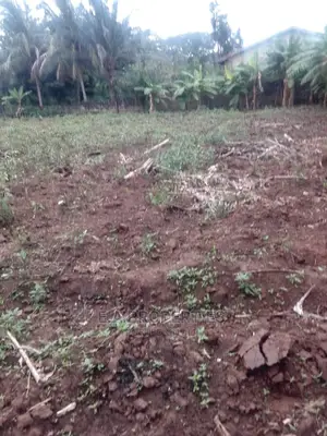 Land at Amanfro