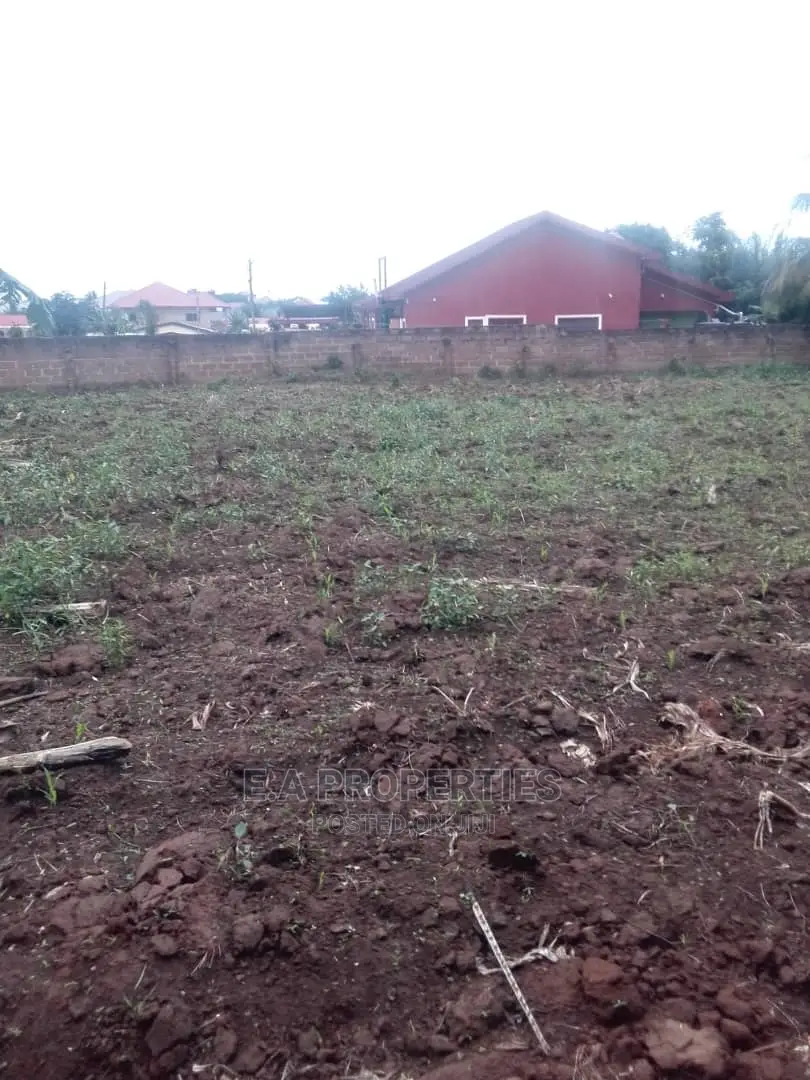 Land at Amanfro