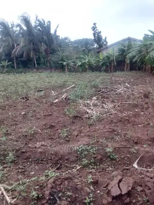 Land at Amanfro