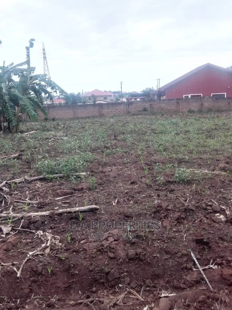 Land at Amanfro