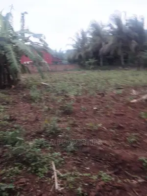Land at Amanfro