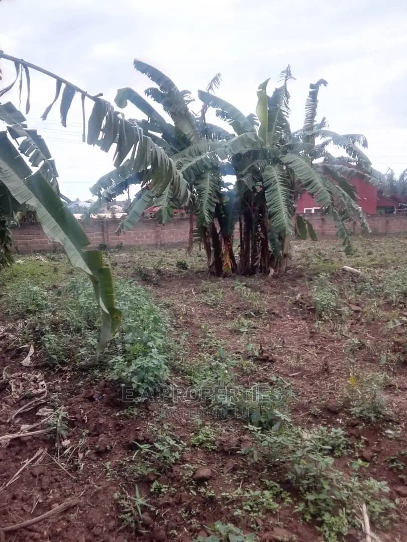 Land at Amanfro