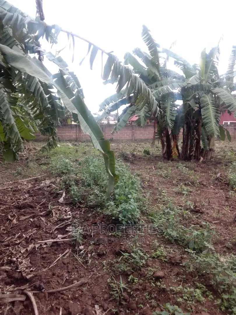 Land at Amanfro