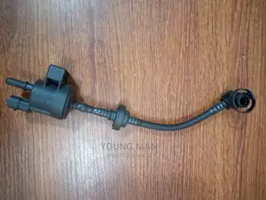 Chevrolet Cruse Petch Valve