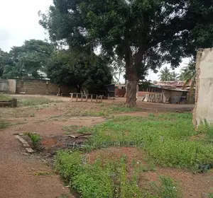 3 Plots of Land for Sale at Mallam