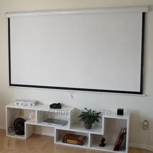 243cm X 243cm Manual Projector Screen